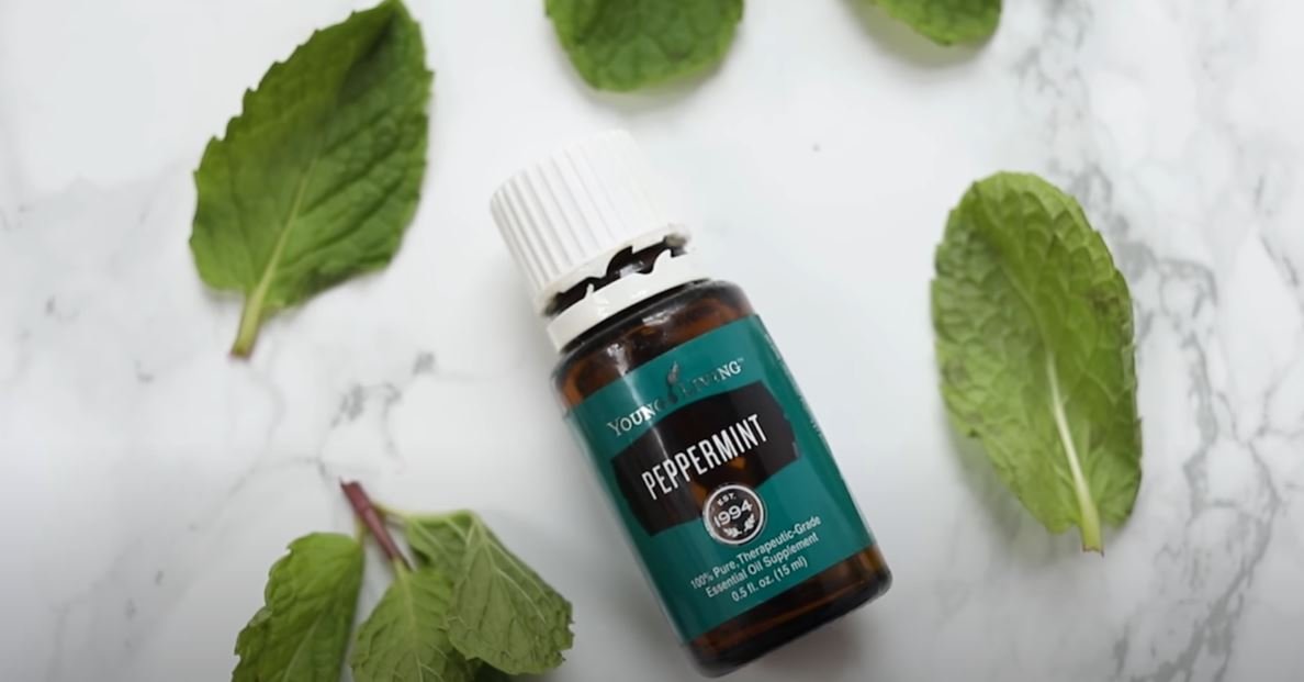 peppermint-oil-for-back-pain peppermint oil on table